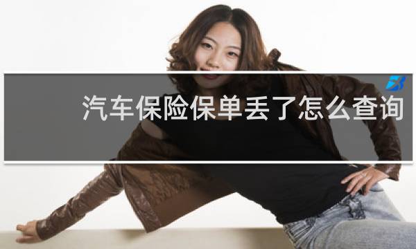 汽车保险保单丢了怎么查询