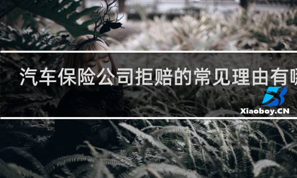 汽车保险公司拒赔的常见理由有哪些