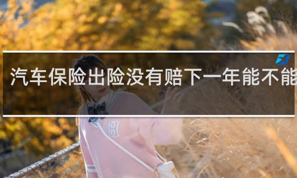 汽车保险出险没有赔下一年能不能申车