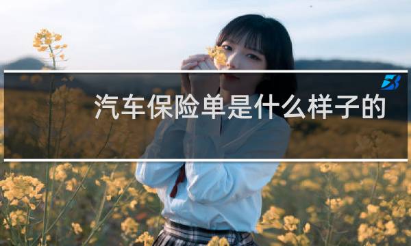 汽车保险单是什么样子的