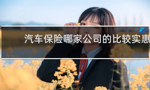汽车保险哪家公司的比较实惠