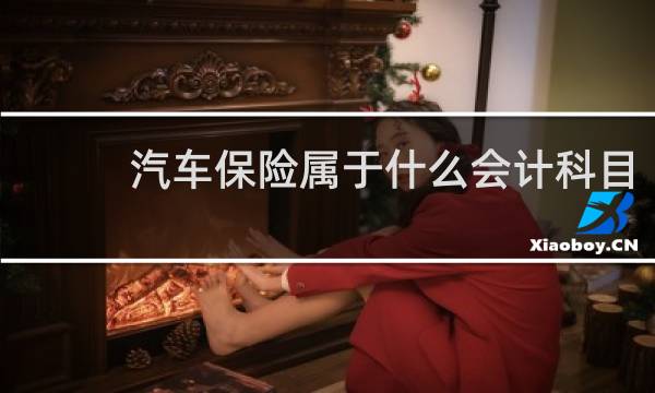 汽车保险属于什么会计科目