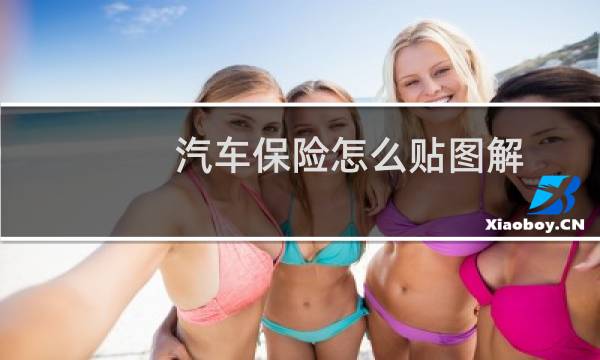 汽车保险怎么贴图解