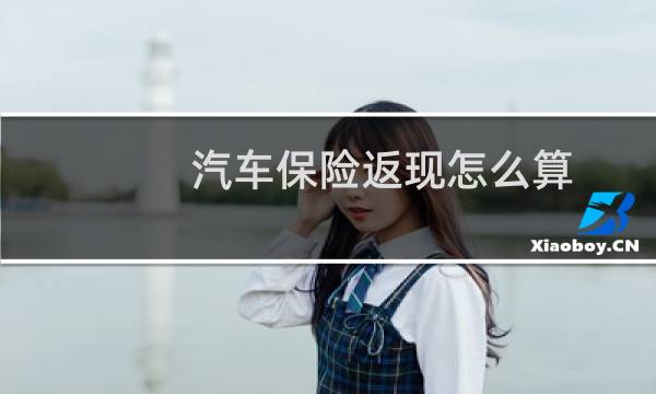 汽车保险返现怎么算