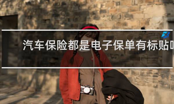 汽车保险都是电子保单有标贴吗