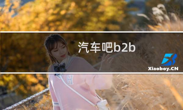 汽车吧b2b