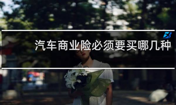 汽车商业险必须要买哪几种