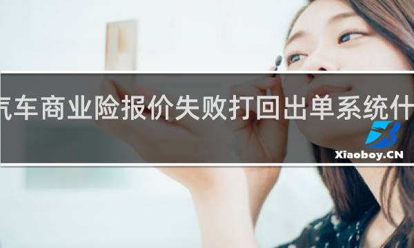 汽车商业险报价失败打回出单系统什么意思