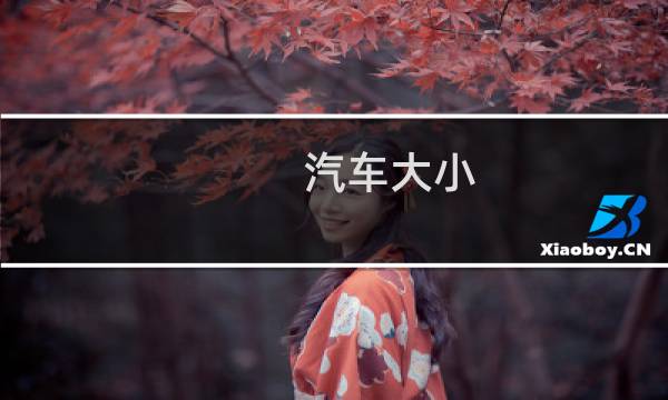 汽车大小
