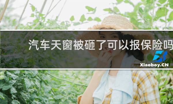 汽车天窗被砸了可以报保险吗