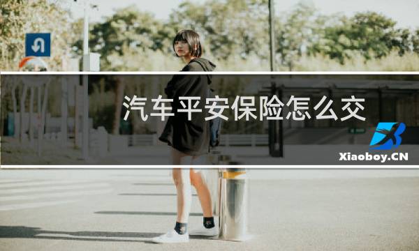 汽车平安保险怎么交