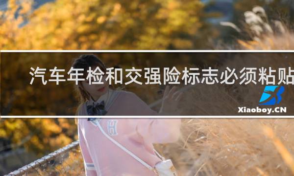 汽车年检和交强险标志必须粘贴吗