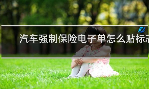汽车强制保险电子单怎么贴标志