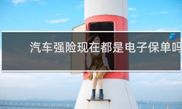 汽车强险现在都是电子保单吗