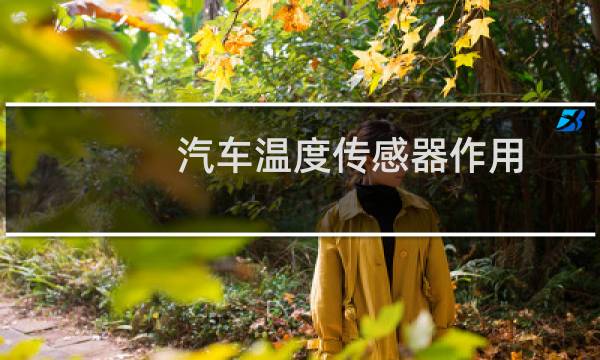 汽车温度传感器作用