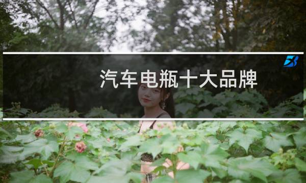 汽车电瓶十大品牌