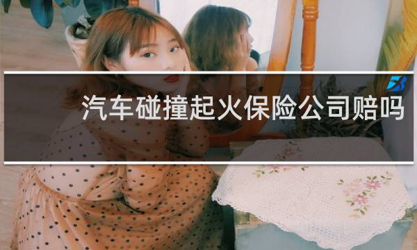 汽车碰撞起火保险公司赔吗