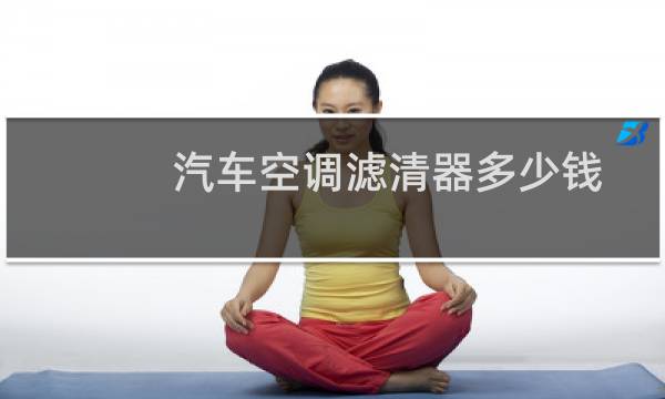 汽车空调滤清器多少钱