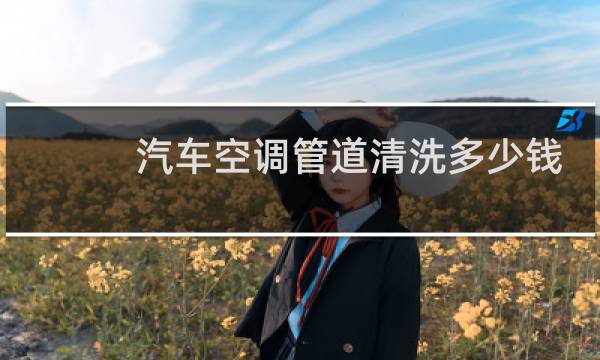 汽车空调管道清洗多少钱