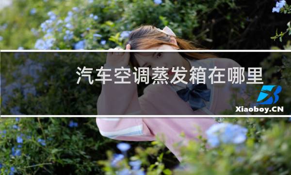 汽车空调蒸发箱在哪里
