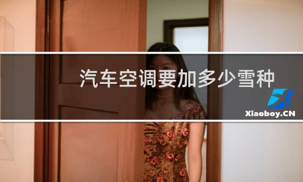 汽车空调要加多少雪种