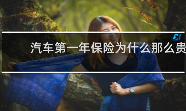 汽车第一年保险为什么那么贵