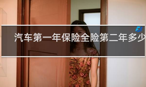 汽车第一年保险全险第二年多少钱