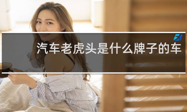 汽车老虎头是什么牌子的车
