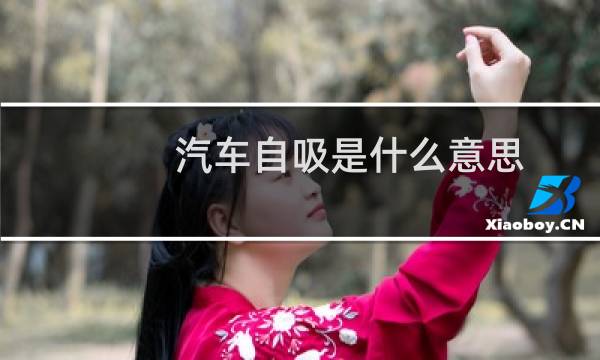 汽车自吸是什么意思