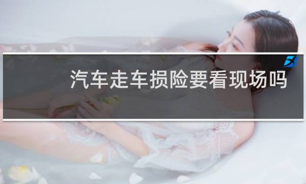 汽车走车损险要看现场吗