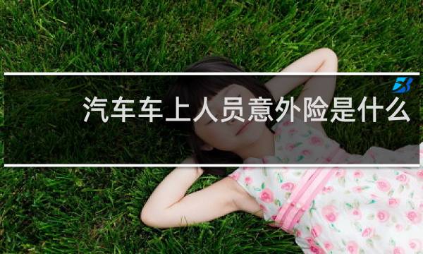 汽车车上人员意外险是什么