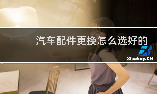 汽车配件更换怎么选好的