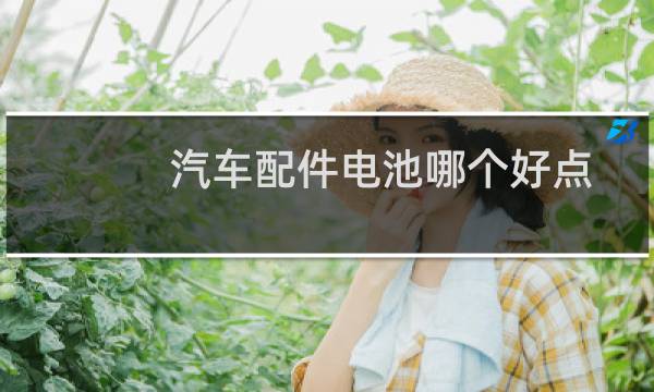 汽车配件电池哪个好点