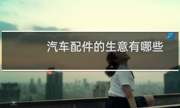 汽车配件的生意有哪些