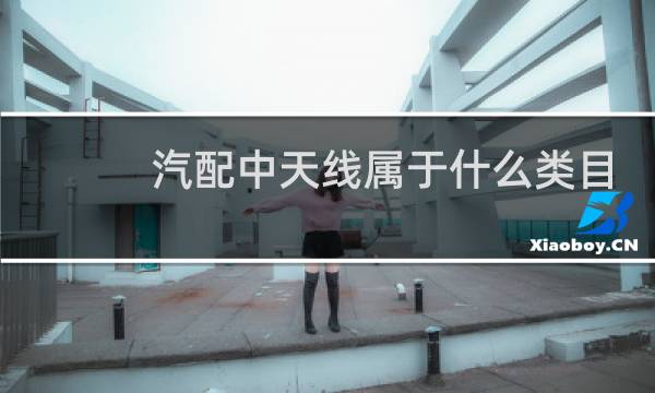 汽配中天线属于什么类目