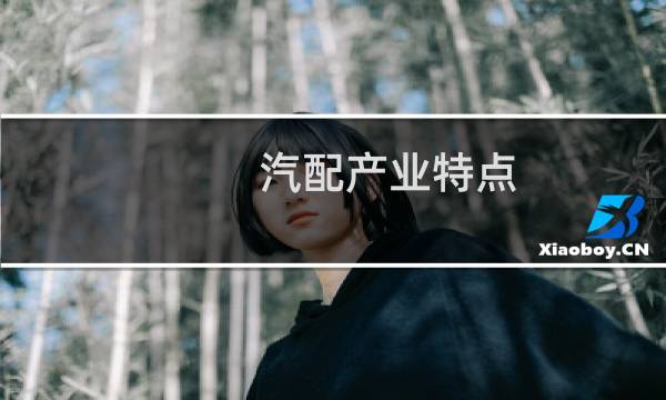 汽配产业特点