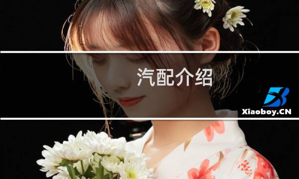 汽配介绍