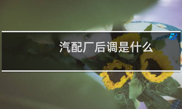 汽配厂后调是什么