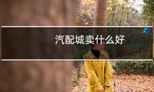 汽配城卖什么好