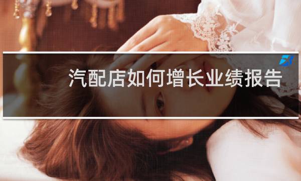 汽配店如何增长业绩报告