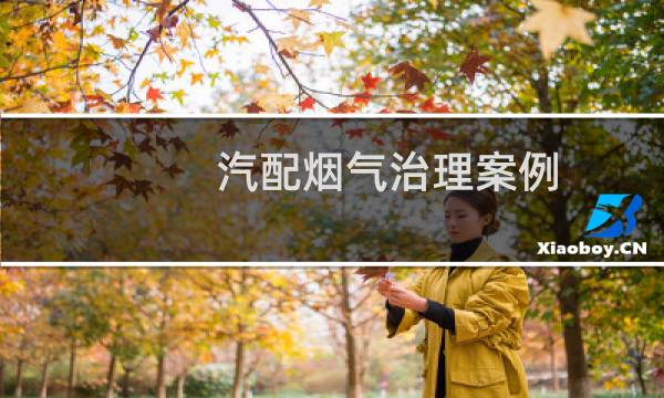 汽配烟气治理案例