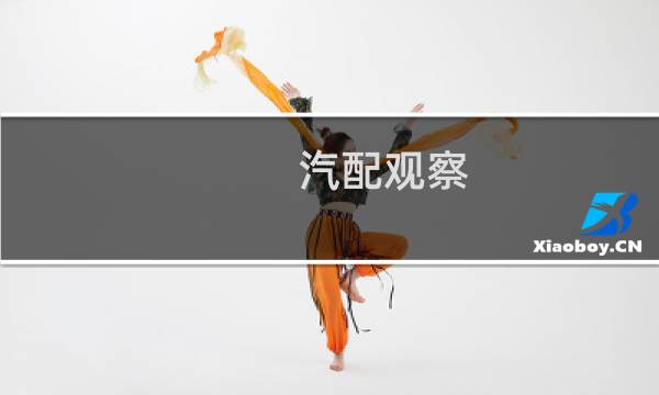 汽配观察