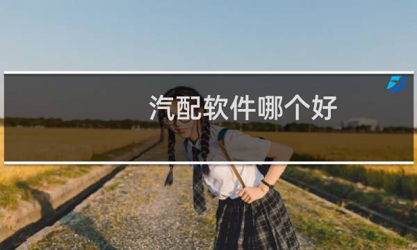 汽配软件哪个好