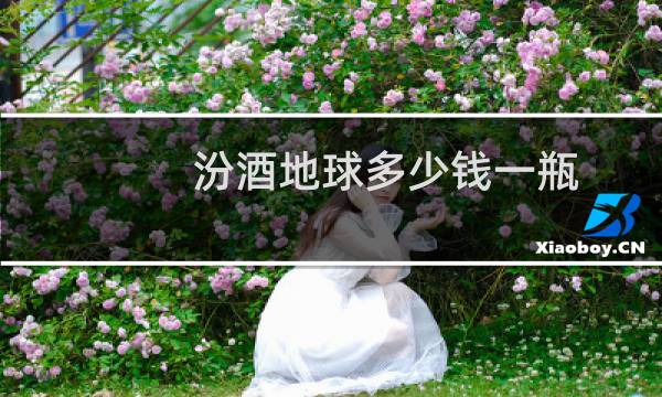汾酒地球多少钱一瓶