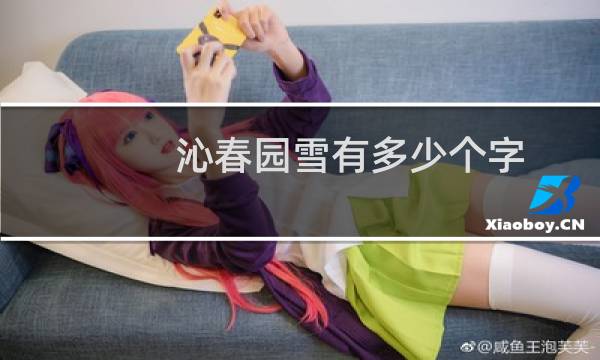 沁春园雪有多少个字