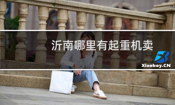沂南哪里有起重机卖