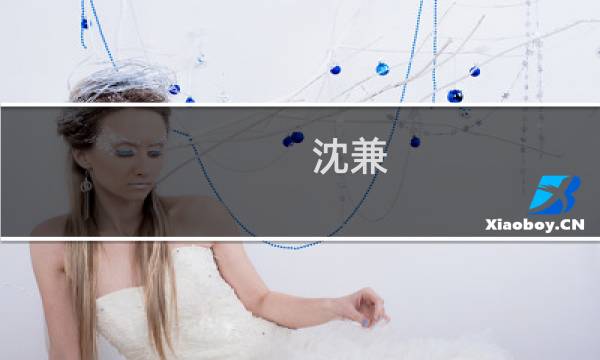 沈兼 价格