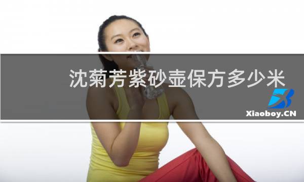 沈菊芳紫砂壶保方多少米
