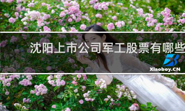 沈阳上市公司军工股票有哪些