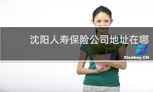 沈阳人寿保险公司地址在哪